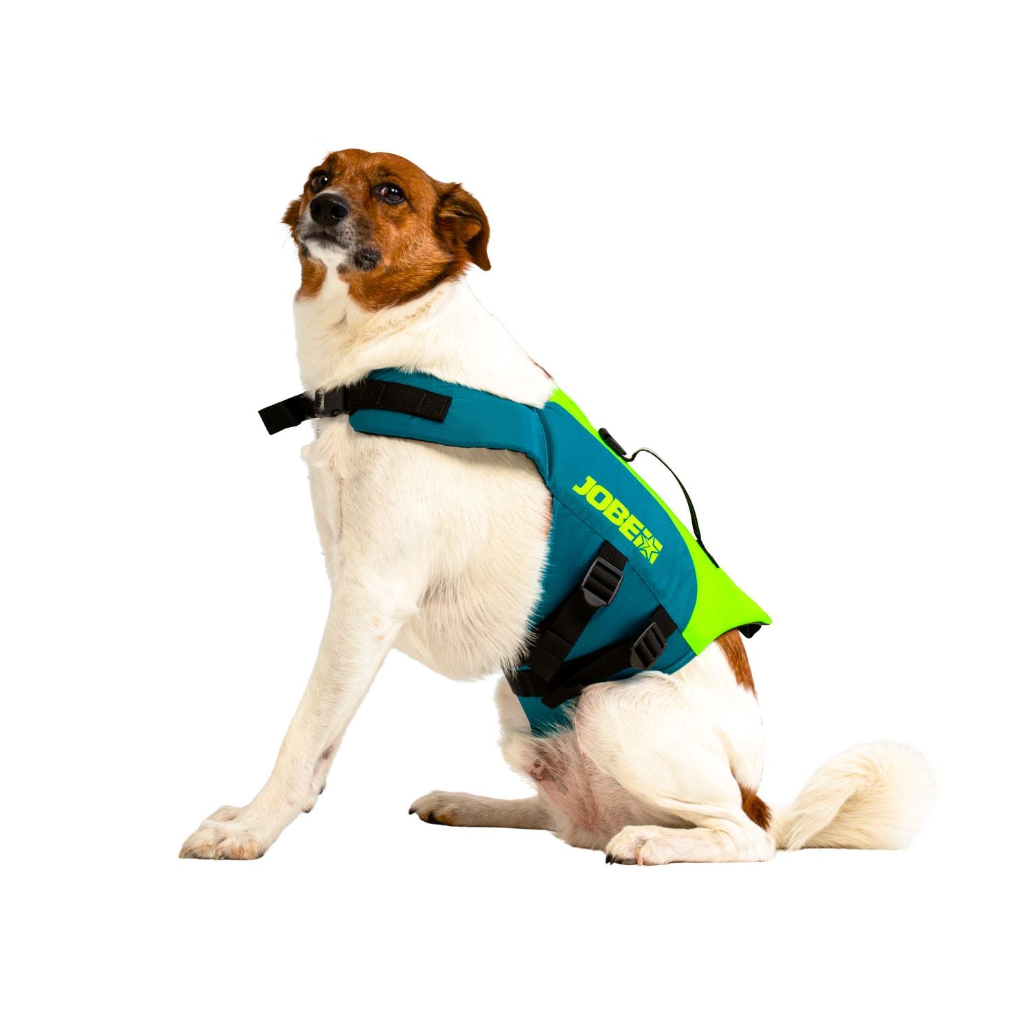 Jobe NYLON Schwimmweste teal Hunde
