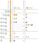 CP 19 Skihelmvisier Orange Wechselvisier Ersatzvisier