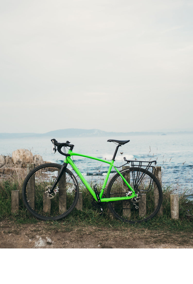 Grünes Fahrrad stehend vor dem Meer