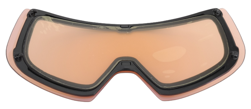 Giro ELLA Skibrille Flower Data Mosh + Ersatzscheibe Damen OTG