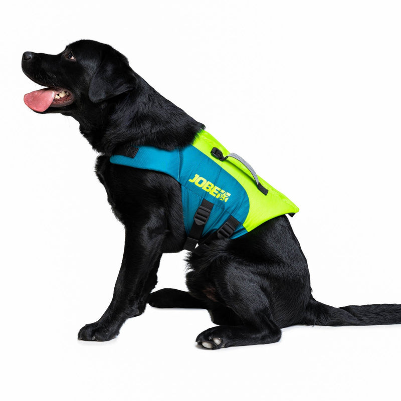 Jobe NYLON Schwimmweste teal Hunde