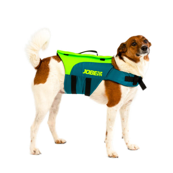 Jobe NYLON Schwimmweste teal Hunde