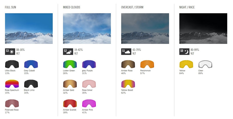 Giro DYLAN Skibrille Midnight alps + Ersatzscheibe Frauen